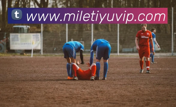 米乐体育平台生态图